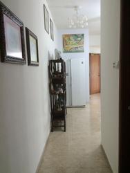 Chelsea Lodge (D15), Apartment #146226802
